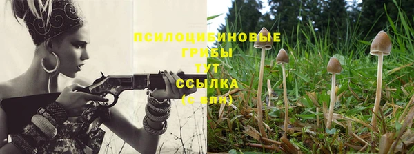 ешки Алексин