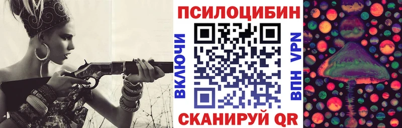 Купить  Темников  Псилоцибиновые грибы Psilocybine cubensis 