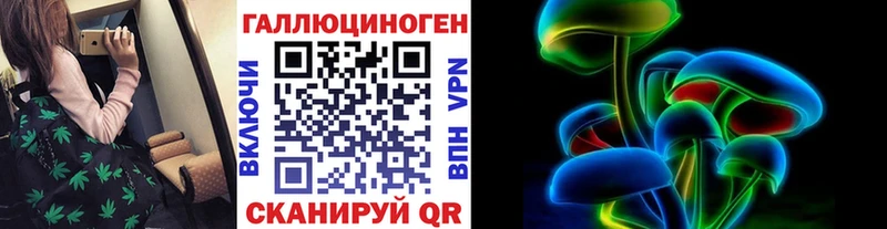 Галлюциногенные грибы Psilocybine cubensis Темников